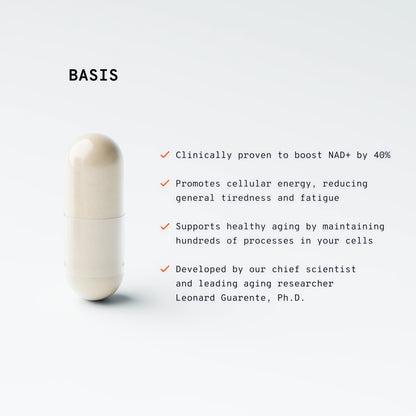 Basis